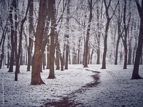 Snowy winter park with slush on the path