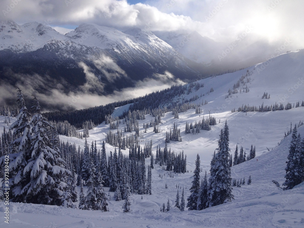 Scenic winter landscape view of the snow capped mountains and trees at whistler ski resort