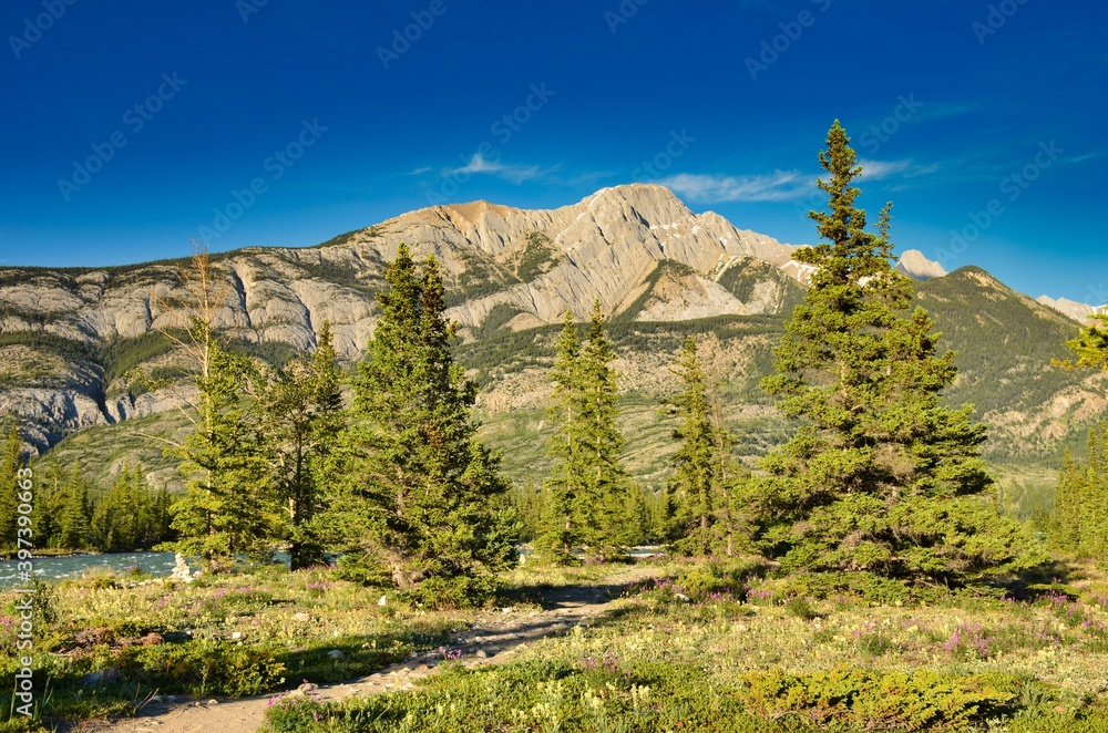 Rocky Mountains. Beautiful landscape with mountains and rivers in the Jasper National Park Canada. Icefield parkway. Travel through the nature of canada
