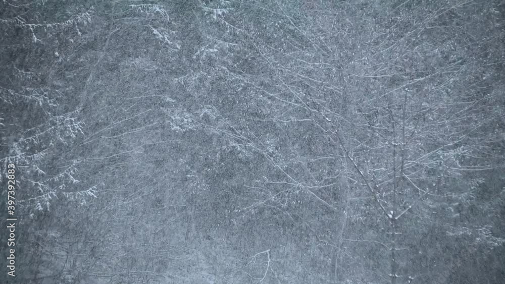Snow falling on trees in winter forest. Magical white landscape. Cold weather in nature. Slow motion, medium static shot Snow falling on trees in winter forest. Magical white landscape. Cold weather in nature. Slow motion, medium static shot