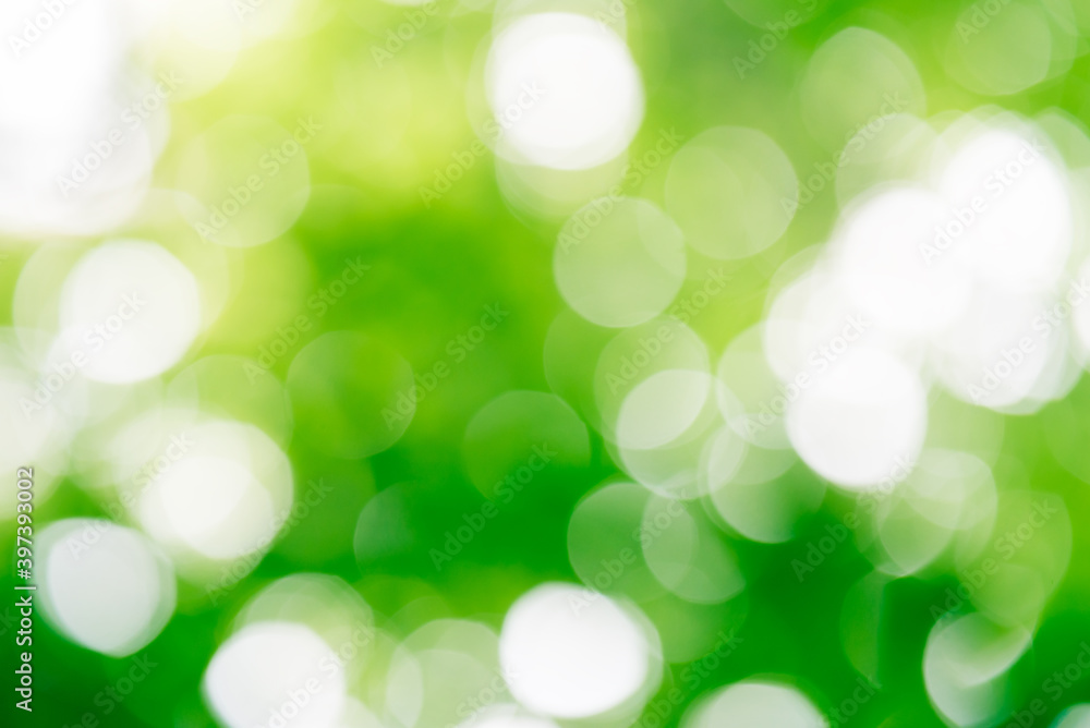 Soft green background bokeh Soft green background bokeh