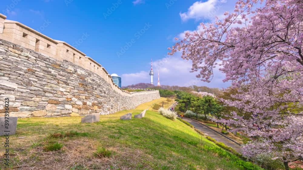 Beautiful Sky and Cherry blossom at Namsan Park in Seoul,South Korea.Zoom in