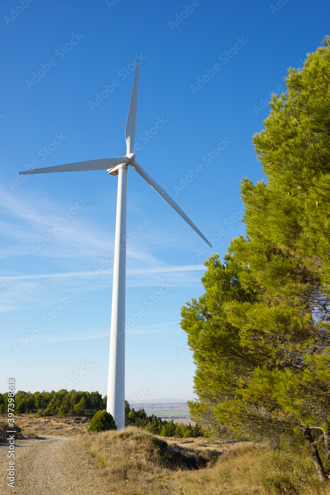 Fototapeta premium Sustainable wind energy concept