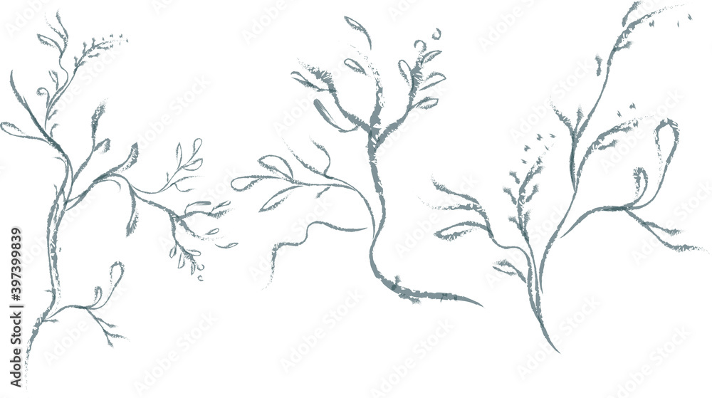 Set  3 Hand drawn wedding herb, plant and dry tree branch. Botanical rustic trendy greenery vector illustration.