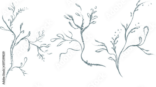 Set  3 Hand drawn wedding herb  plant and dry tree branch. Botanical rustic trendy greenery vector illustration.