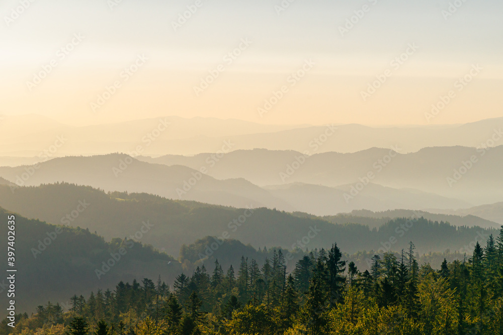 Naklejka premium Gorce o świcie, widok ze szczytu Magurki, szczyty w porannych mgłach