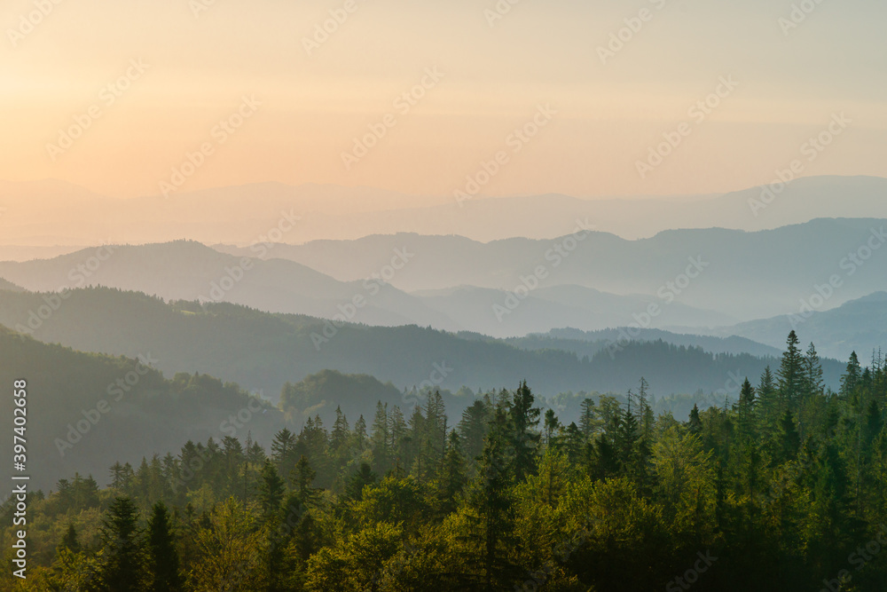 Naklejka premium Gorce o świcie, widok ze szczytu Magurki, szczyty w porannych mgłach