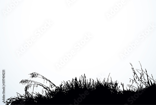 Silhouette of grass by the lake. Vector drawing