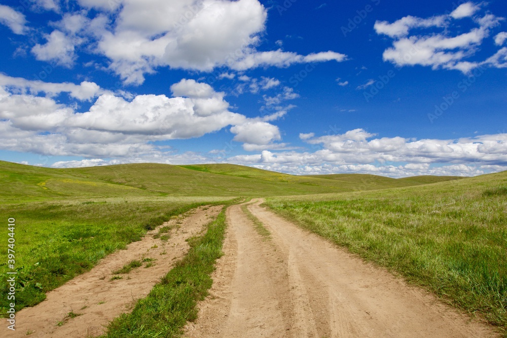 Typical Mongolian landscape: dirty road crossing a green meadow with a blue cloudy sky on the horizon.