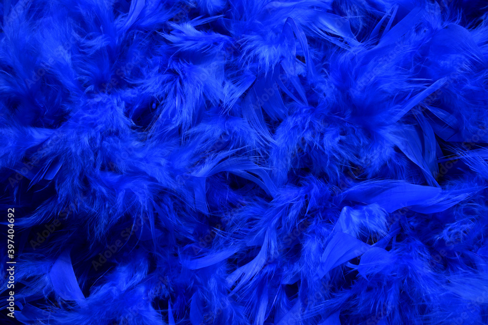 
Blue feathers. 
Blue feathers in soft and blur style for background.