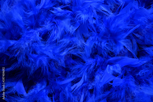  Blue feathers. Blue feathers in soft and blur style for background.