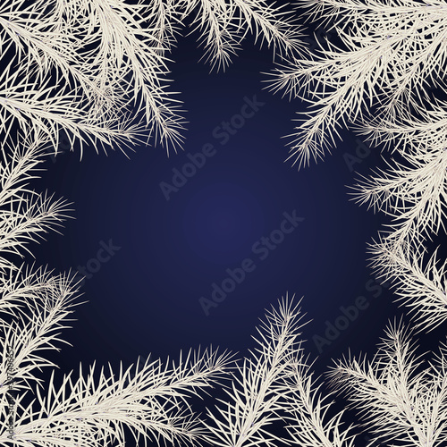 blue background for cards and congratulations with white fir branches