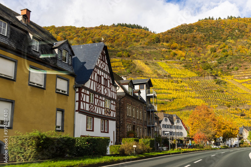 Fototapeta Naklejka Na Ścianę i Meble -  Vineyards along River Moselle in autumn colors, Germany, Europe.