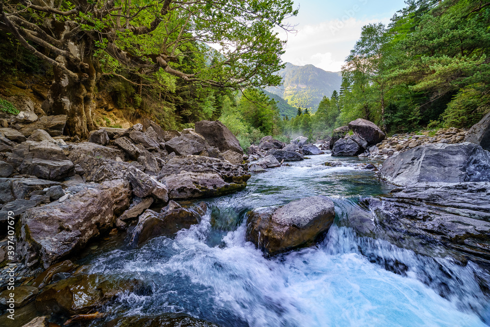 Fototapeta premium Forest landscape with fast and clean river, big trees and rocks. Pyrenees, Ordesa. Rest and nature excursion