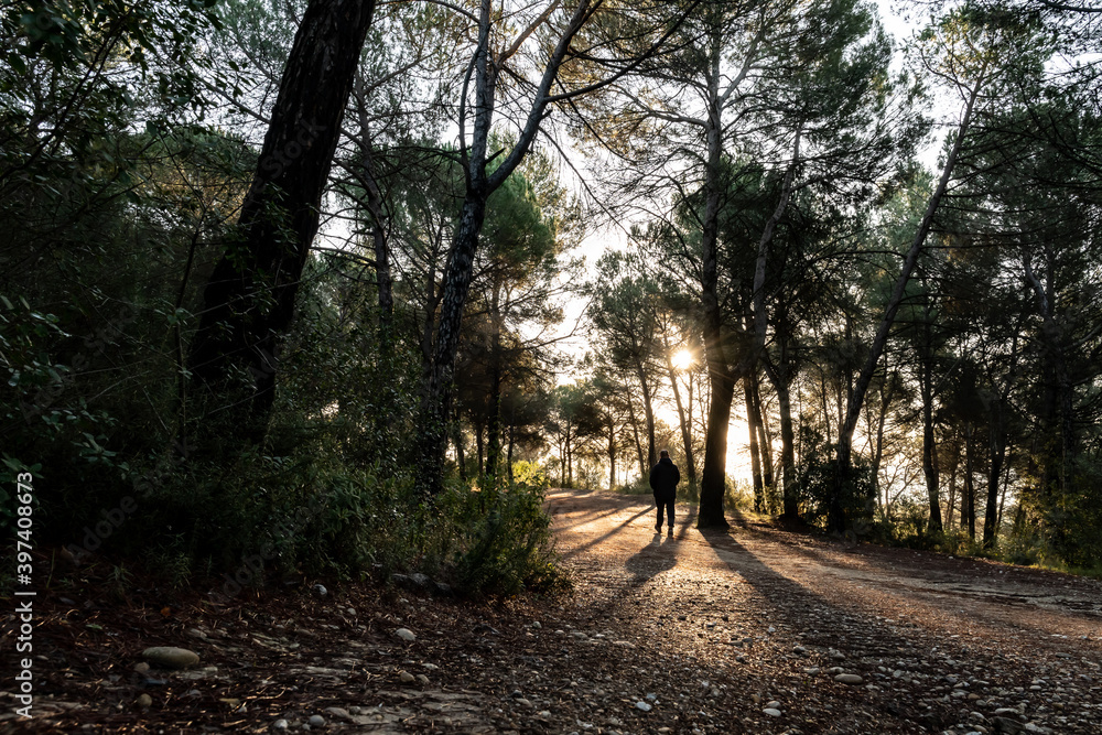 Fototapeta premium Persona paseando por el bosque