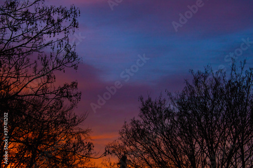 Winter Evening Sunset Behind Trees Autumnal Oranges © squeebcreative