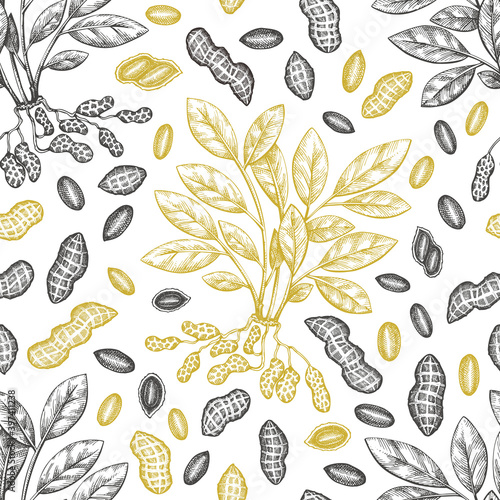Hand drawn peanut branch and kernels seamless pattern. Organic food vector illustration. Retro nut background. Engraved style botanical picture.