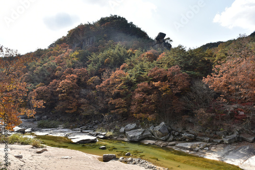 Autumn maple leaves in Hwayang-gugok, Korea