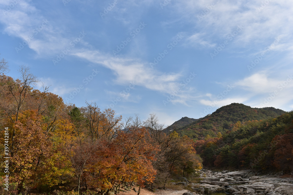 Autumn maple leaves in Hwayang-gugok, Korea Autumn maple leaves in Hwayang-gugok, Korea