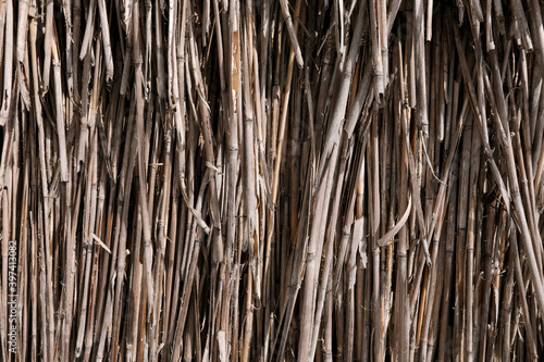 Close-up of the reed straw. Bundle of straw front view. Background or texture of old dry gray straw, vertically leveled