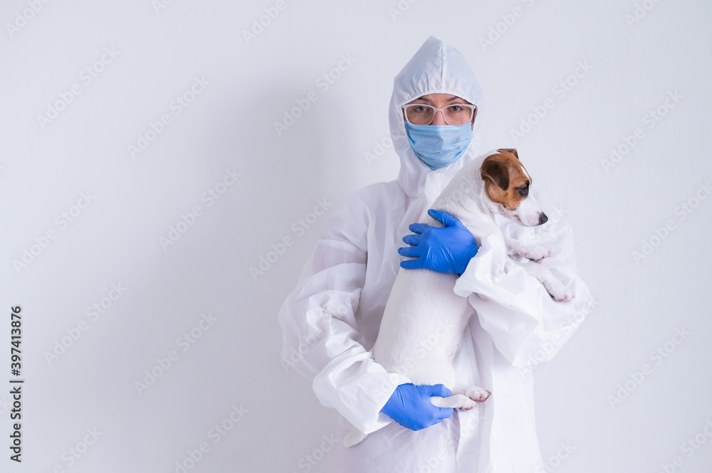 A woman in a protective suit and mask is holding a Jack Russell Terrier dog on a white background A woman in a protective suit and mask is holding a Jack Russell Terrier dog on a white background