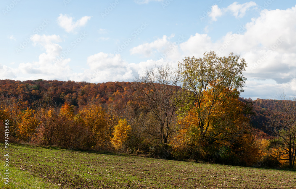 a hilly autumn landscape in swabian alb with green field