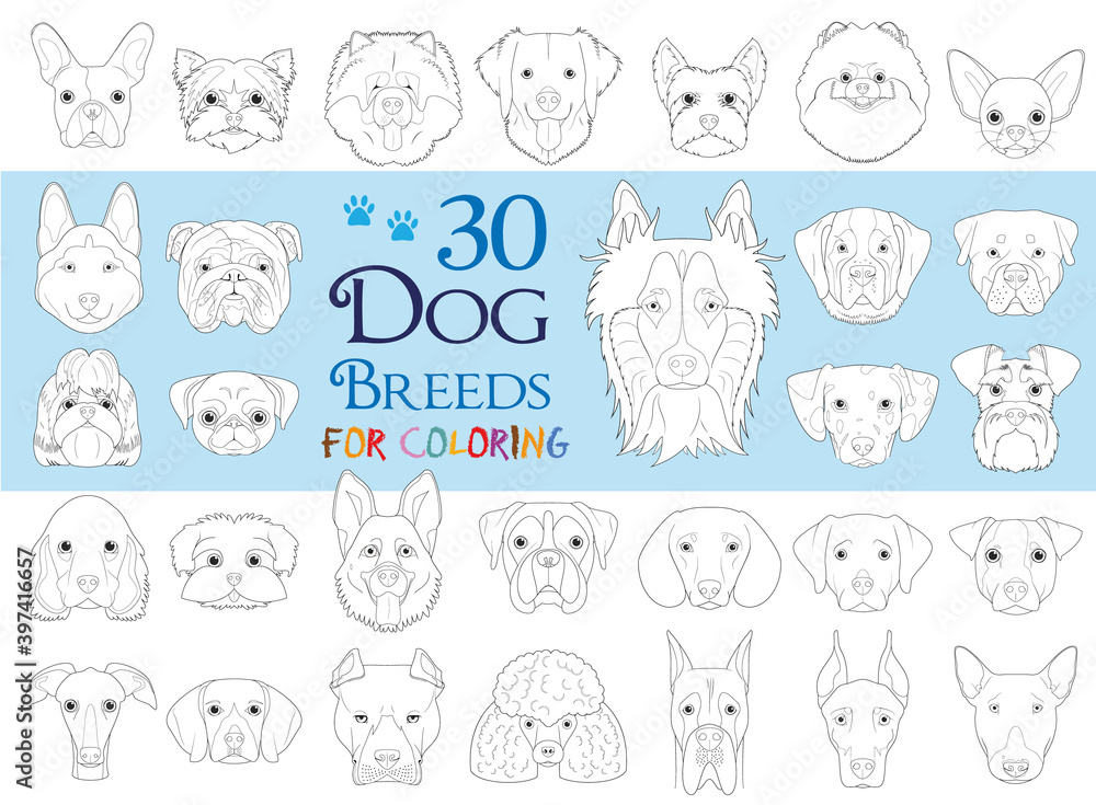 Dog Breeds Collection Volume 1: Set of 30 different dog breeds for ...