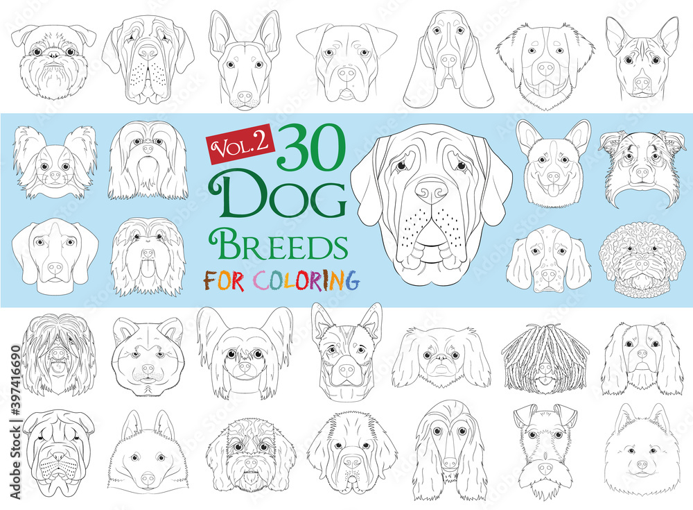 Dog Breeds Collection Volume 2: Set of 30 different dog breeds for coloring in cartoon style. Dog Breeds Collection Volume 2: Set of 30 different dog breeds for coloring in cartoon style.