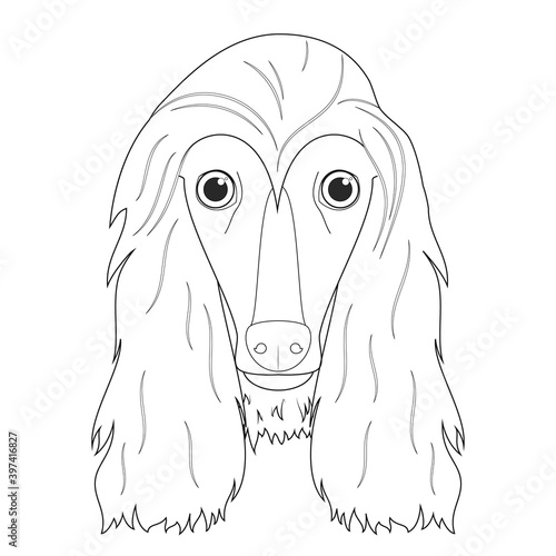 Afghan Hound dog easy coloring cartoon vector illustration. Isolated on white background