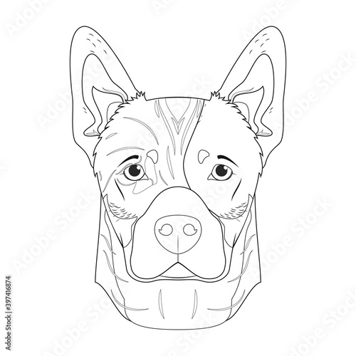 Australian Cattle Dog easy coloring cartoon vector illustration. Isolated on white background