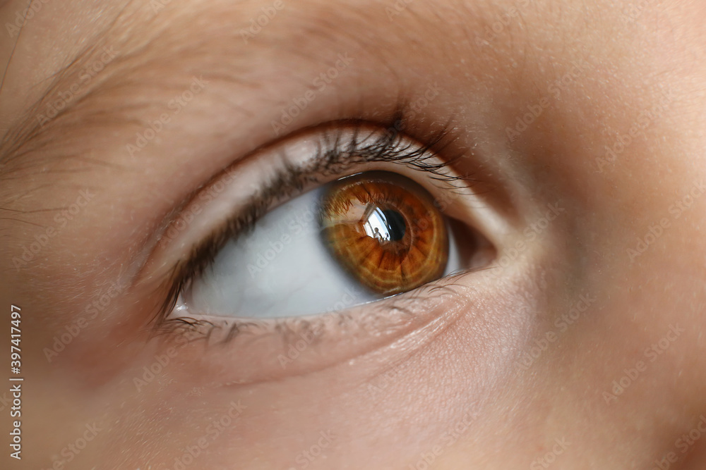 Obraz premium Сloseup of a Brown eye of a caucasian girl