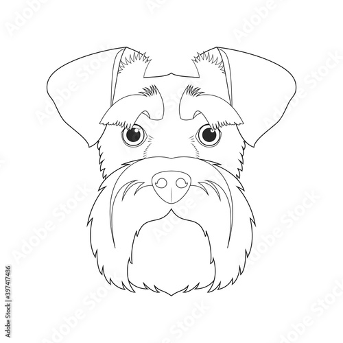 Schnauzer dog easy coloring cartoon vector illustration. Isolated on white background