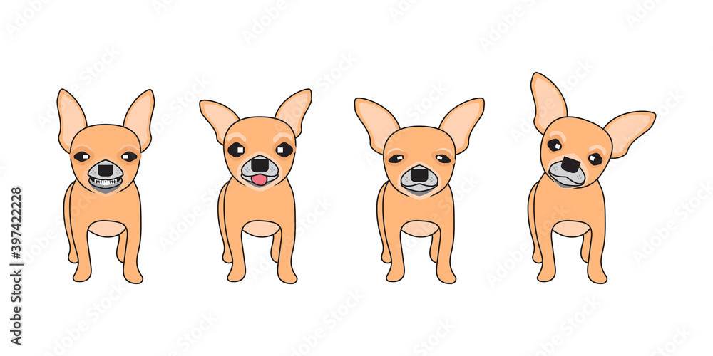 Fototapeta premium Set of dog cartoon character with a Chihuahua, Vector dog set.