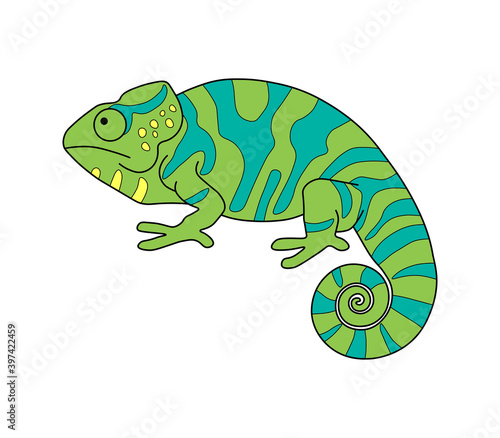Chameleon. Linear drawing, coloring. A simple chameleon image is a template. © Ксения Белимова
