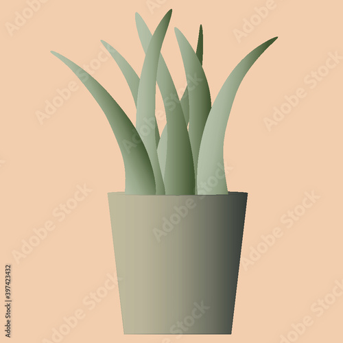 Eine einfache, matte, grüne Pflanze in einem Blumentopf vor einem beigen Hintergrund die für die Einrichtung eines Büros oder eines Zimmers verwendet werden kann.