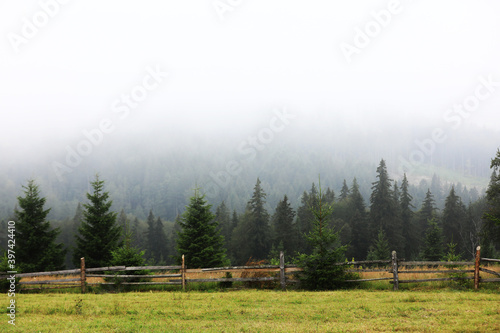 autumn meadow with a old wooden fence on a farm close up, in the Smoky Mountains on a foggy day. travel destination scenic, carpathian mountains