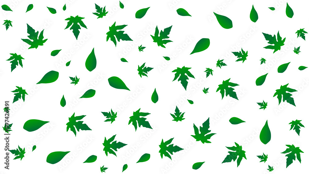 white background with green leaves white background with green leaves