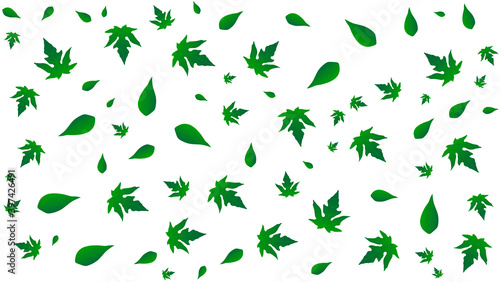 white background with green leaves