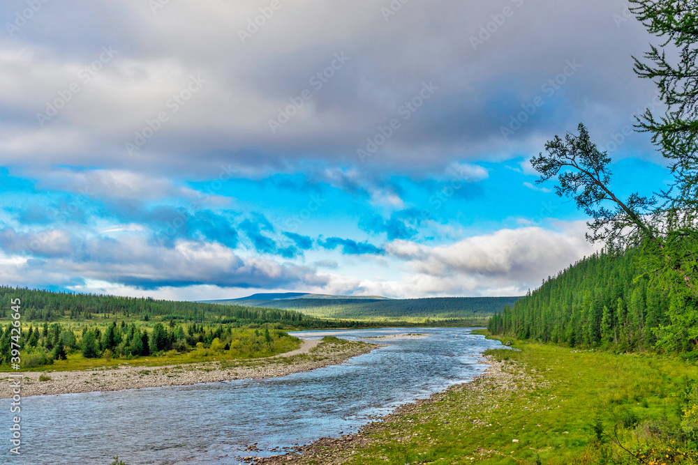 northern river in a forest area in the subpolar urals