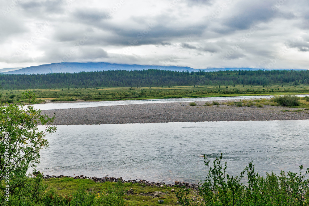 Fototapeta premium northern river in a forest area in the subpolar urals