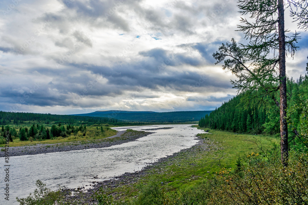 northern river in a forest area in the subpolar urals