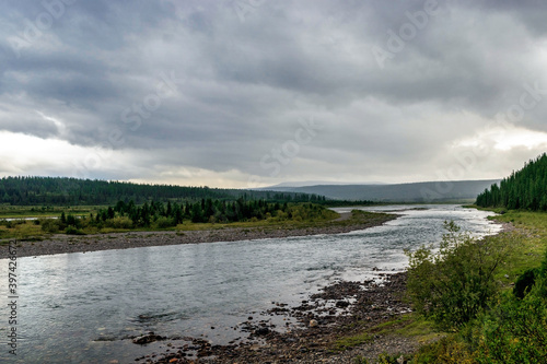 northern river in a forest area in the subpolar urals