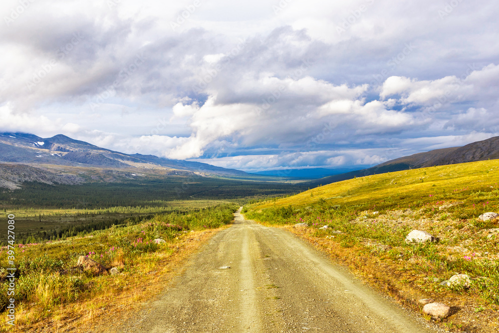 Fototapeta premium dirt road through a coniferous forest to the mountains