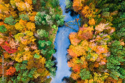 Aerial view of blue river and colorful forest in autumn