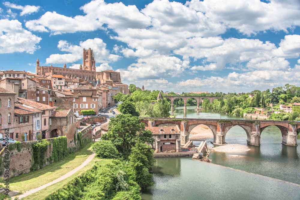 Fototapeta premium Vue d'Albi et de sa Cathédrale (Saint Cécile), Occitanie, France