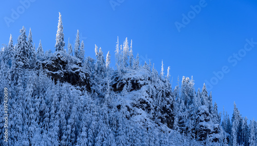 Trees covered with ice up high in the mountains, Eastern Carpathians. Taken on a back country ski tour in the early morning sun at -32C.
