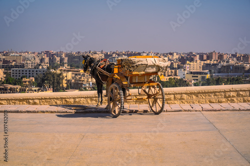 Workers with horses at the pyramids of Giza the oldest Funerary monument in the world. In the city of Cairo, Egypt