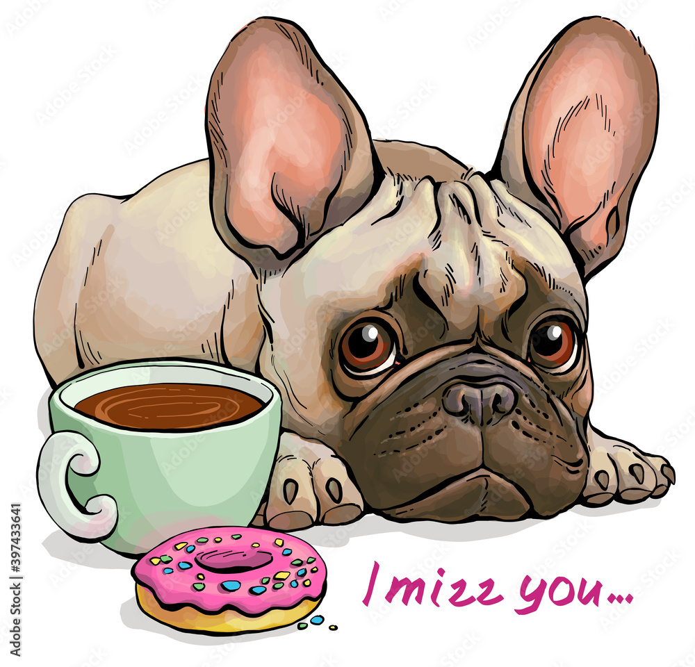 Vector illustration. Funny cartoon. Portrait of a cute sad French Bulldog  who does not want tasty treats. With the words 