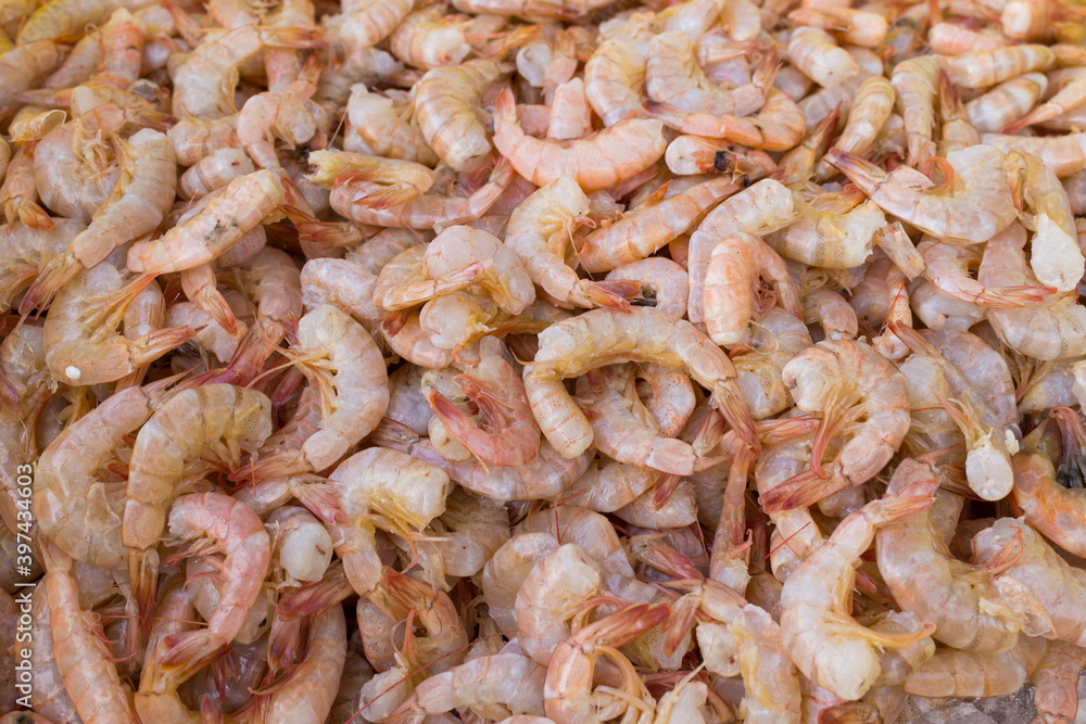 Headless prawns with shell often used in cuisine for seafood. Much consumed worldwide, mainly in coastal cities. Headless prawns with shell often used in cuisine for seafood. Much consumed worldwide, mainly in coastal cities.