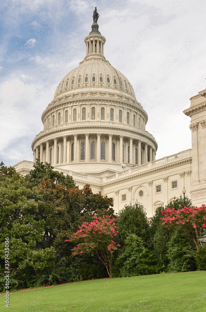 Obraz premium U.S. Capitol Building - Washington D.C. United States of America